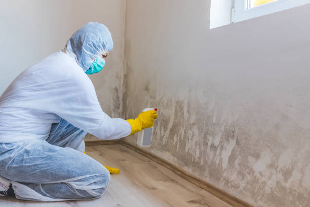 Mold inspector in Finksburg performing thermal imaging